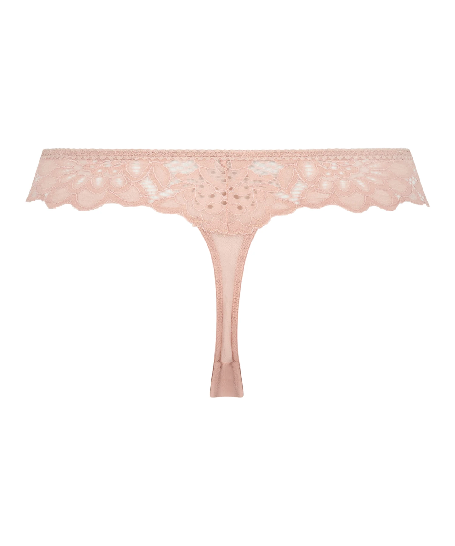 String Shiloh 5 String Shiloh – Bild 5